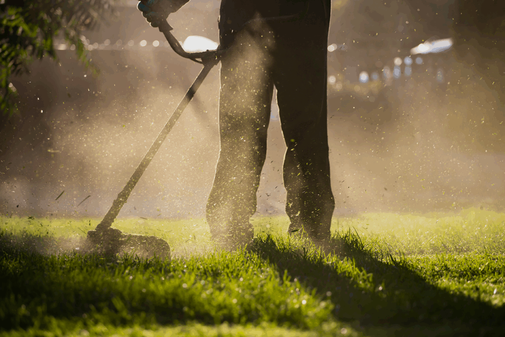 homme passant le rotofil dans un jardin