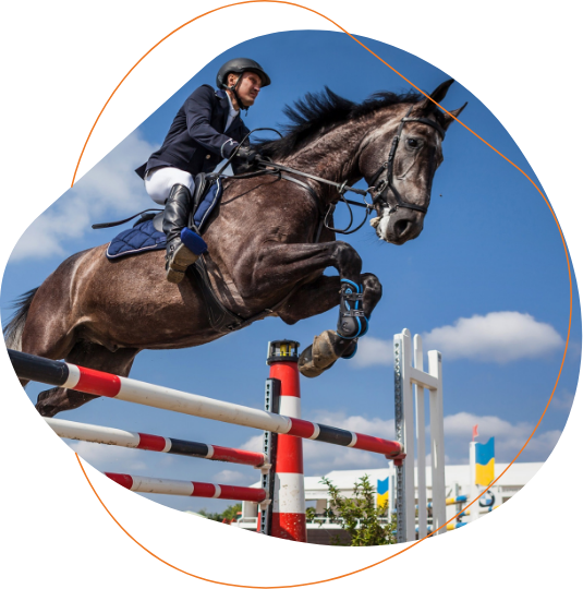 Cavalier sautant un obstacle à cheval