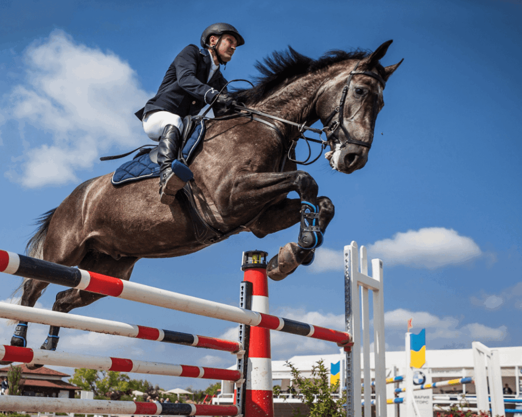 cavalier à cheval sautant un obstacle