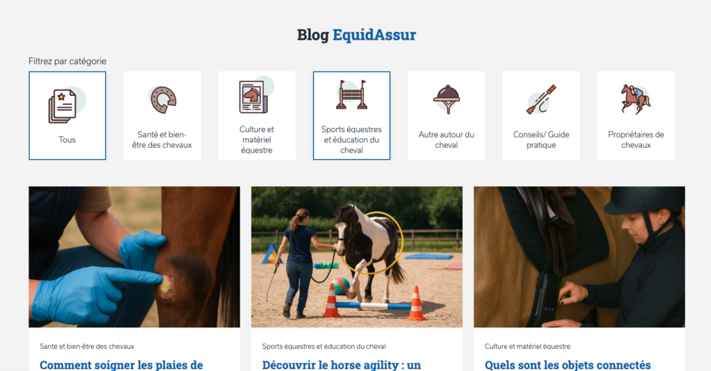 Capture d'écran du blog d'Equidassur