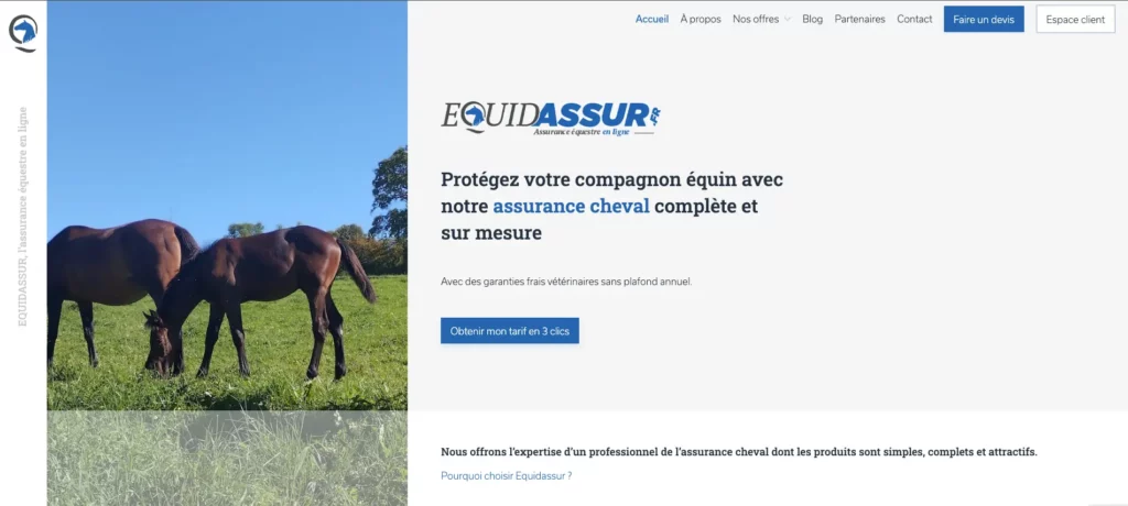 Capture d'écran de la page d'accueil du site Equidassur